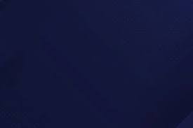 [NBA]杨瀚森未得分 开拓者客场胜鹈鹕